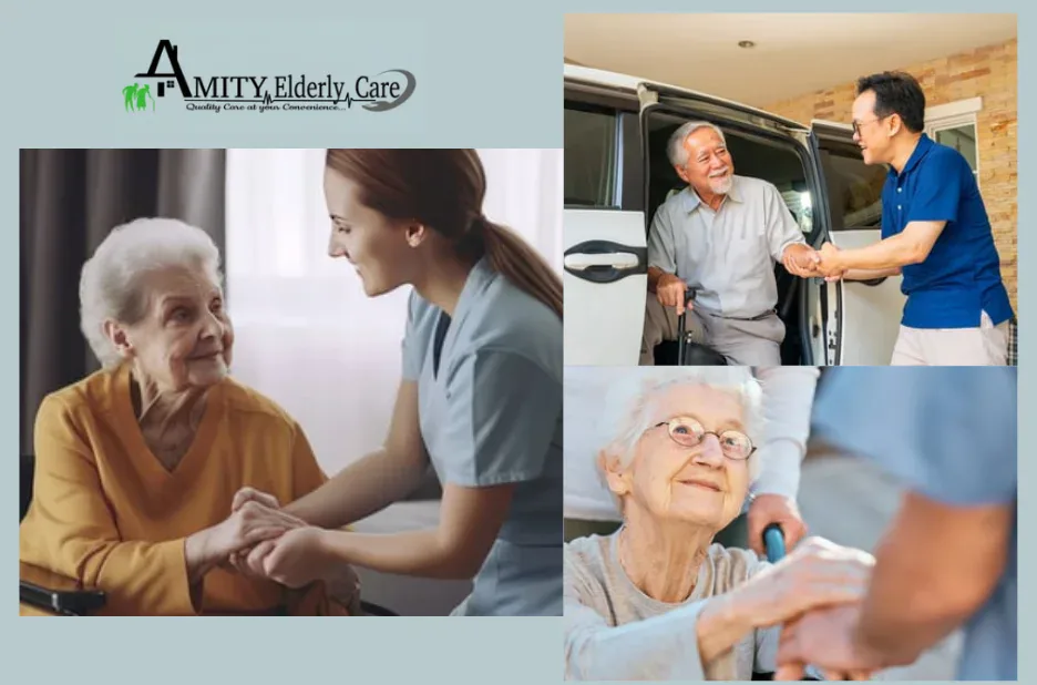 Comprehensive Home Support Services for Elderly to Enhance Comfort and Safety at Home Comprehensive Home Support Services for Elderly to Enhance Comfort and Safety at Home
