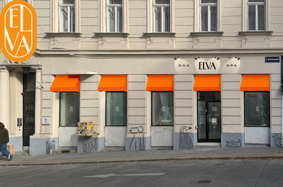 Hunde Spa Behandlung Wien – Entspannung und Pflege für Ihren Vierbeiner in Wien Hunde Spa Behandlung Wien – Entspannung und Pflege für Ihren Vierbeiner in Wien