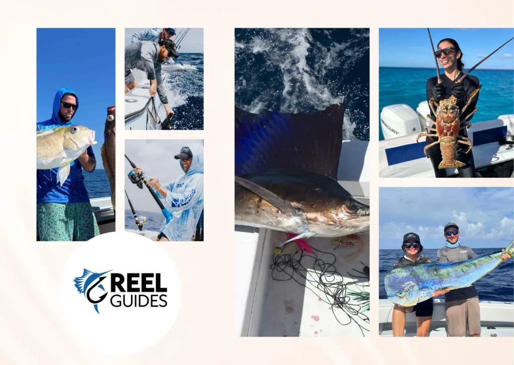 Top Melbourne Fishing Charters for an Unforgettable Angling Adventure