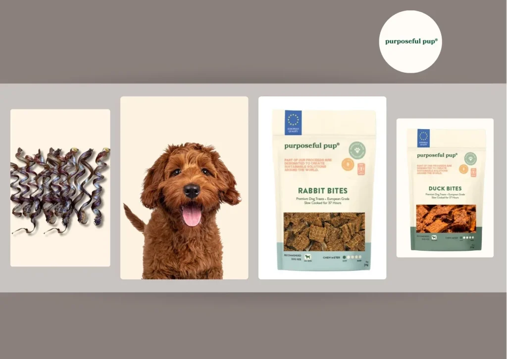 Buy Cow Hooves for Dogs – Natural, Long-Lasting Chews to Promote Dental Health Buy Cow Hooves for Dogs – Natural, Long-Lasting Chews to Promote Dental Health