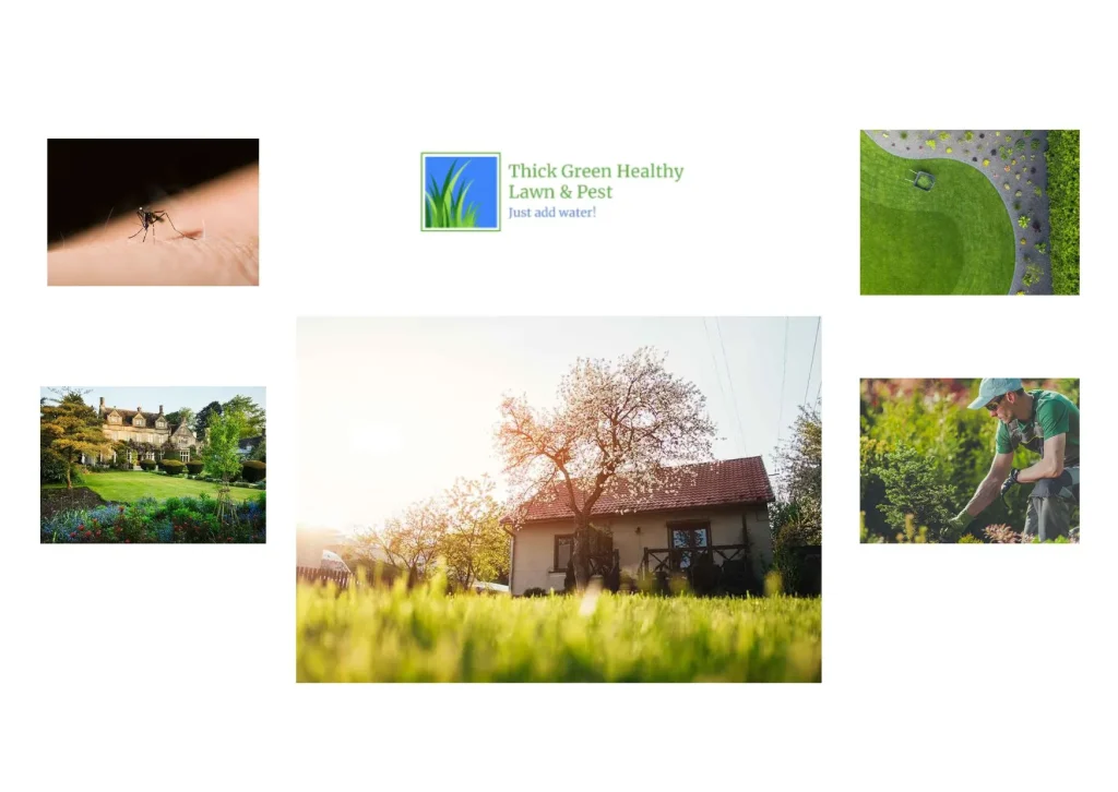 Effective Weed Control Treatments in San Antonio for a Healthier Lawn