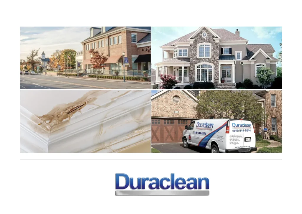 Expert Carpet Cleaning Rockford Services for Healthier, Fresher Carpets