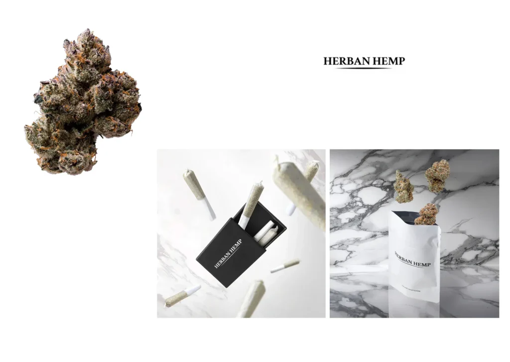 Order Legal Hemp Product Online | Safe, Lab-Tested, Premium Quality at Herbanhemp.com Order Legal Hemp Product Online | Safe, Lab-Tested, Premium Quality at Herbanhemp.com