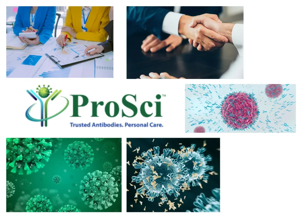 Custom Antibody Production Services for Precision Research and Diagnostics