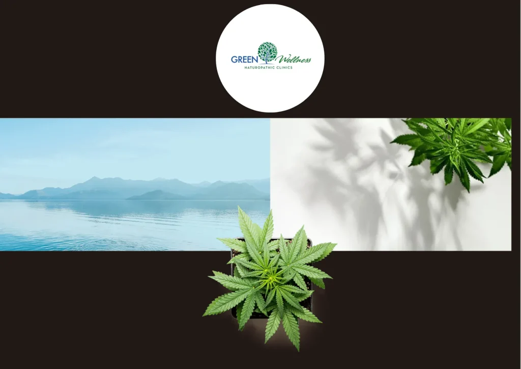 Find a Trusted Medical Marijuana Doctor Near Me for Personalized Care and Expertise Find a Trusted Medical Marijuana Doctor Near Me for Personalized Care and Expertise