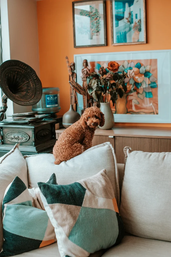 Yo Pet Guest Post Opportunities to Boost Your Pet Brand Visibility