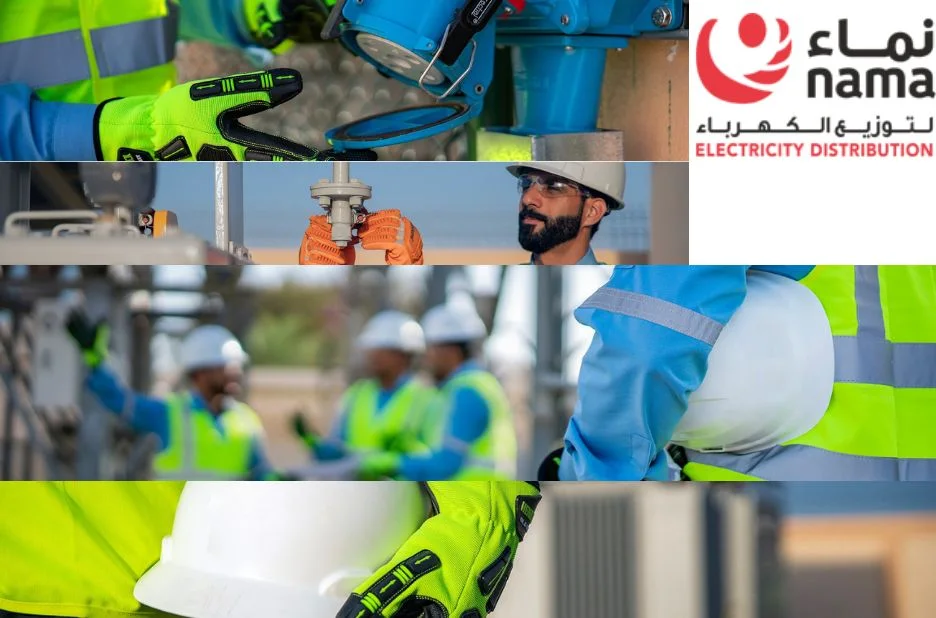 تحليل شامل للقوائم المالية لشركة الكهرباء وأثرها على استقرار الطاقة تحليل شامل للقوائم المالية لشركة الكهرباء وأثرها على استقرار الطاقة