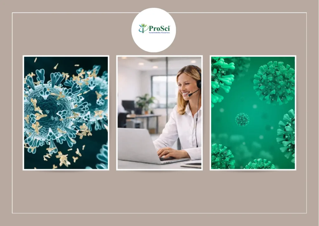 Expert Recombinant Antibody Service for Custom Research Solutions and Biotech Applications