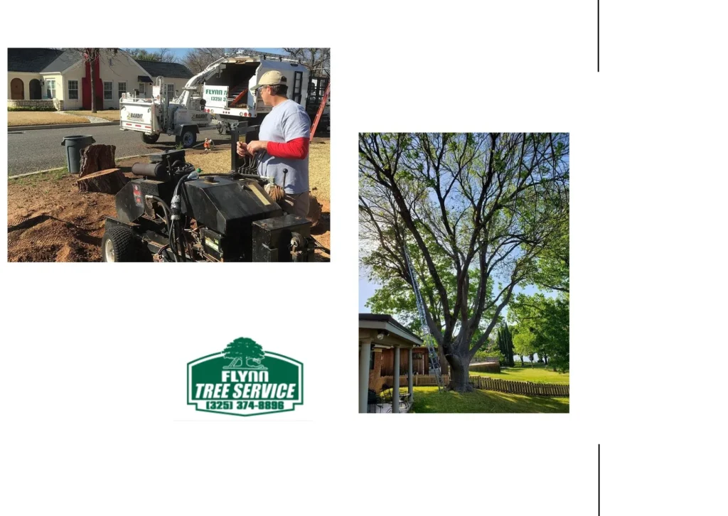 Efficient Stump Grinding Services for a Clean and Safe Landscape Finish Efficient Stump Grinding Services for a Clean and Safe Landscape Finish