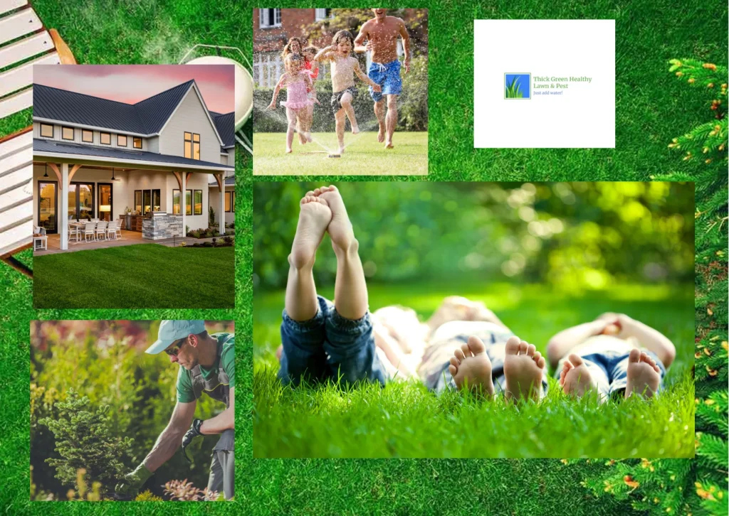 Top Benefits of Choosing Local Lawn Care Services for a Healthier Yard