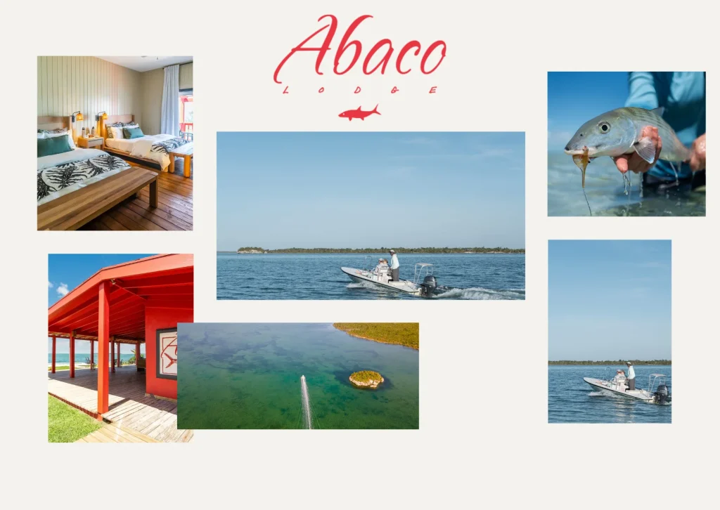 Best Bonefish Lodges in Bahamas for Ultimate Fishing and Luxury Experience