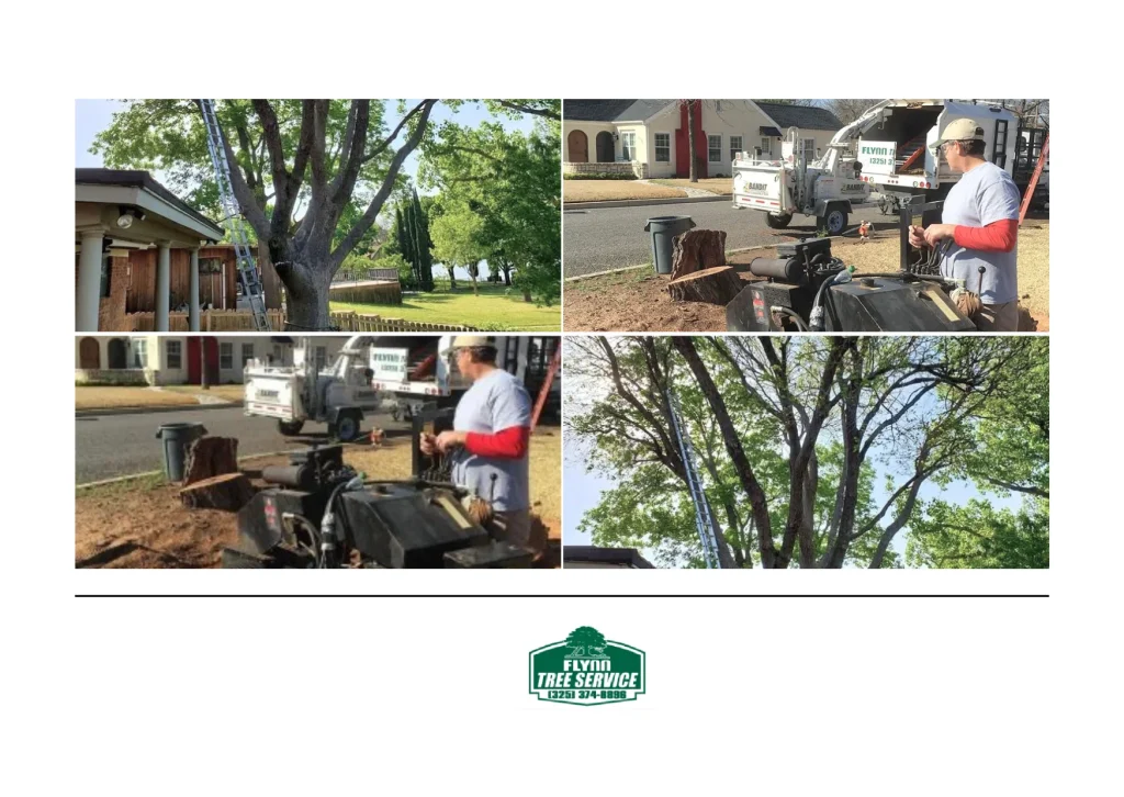 Flynn Tree Service: Professional Tree Care for Healthy and Safe Landscapes