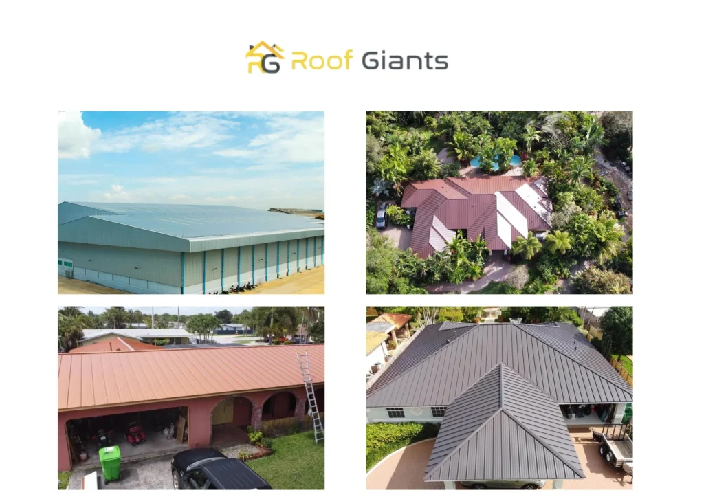 Professional Roof Repairs Wellington | Trusted Roof Repair Services Professional Roof Repairs Wellington | Trusted Roof Repair Services