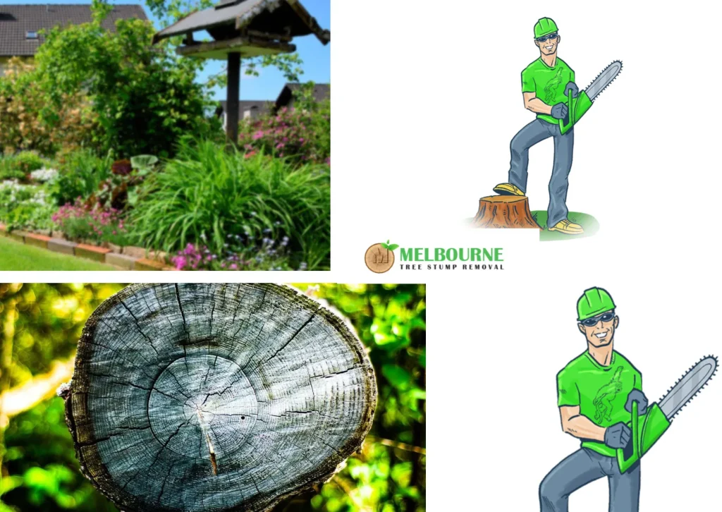 Professional Stump Grinding Werribee for Efficient and Safe Tree Removal