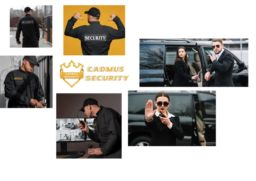 Effective Security Solutions in Chilliwack for Residential and Commercial Protection