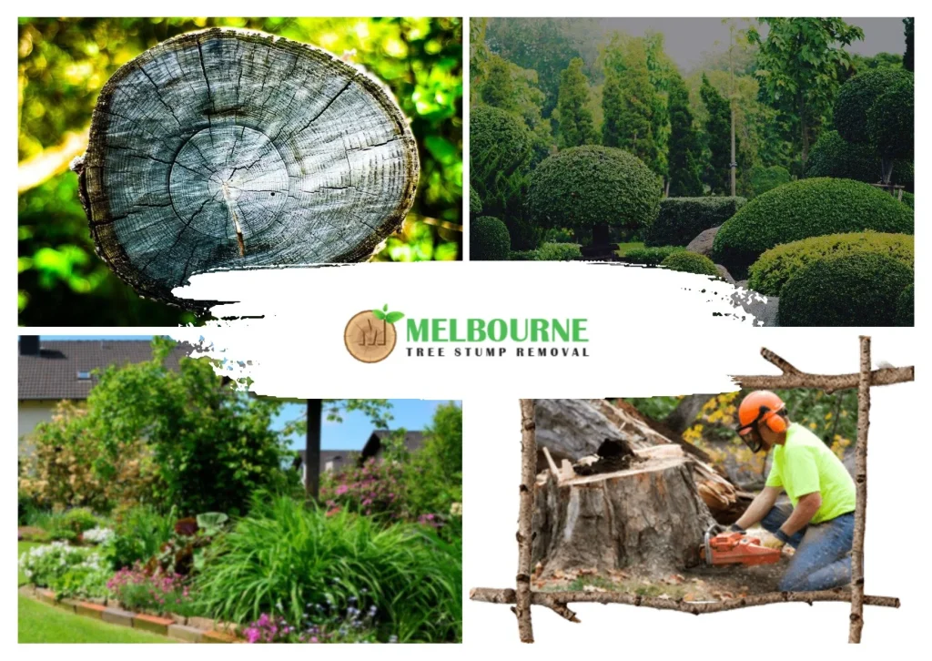 Expert Stump Grinding Toorak Services for a Clean Outdoor Space Expert Stump Grinding Toorak Services for a Clean Outdoor Space