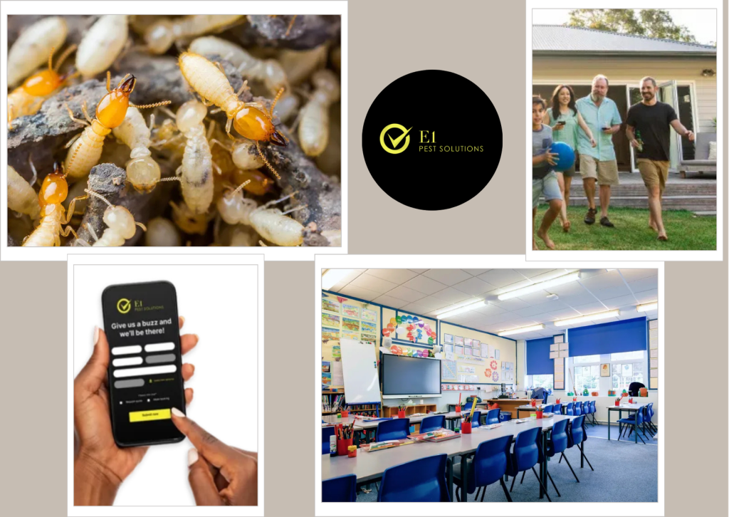 Same Day Pest Control Benefits for Homes and Businesses by E1 Pest Solutions