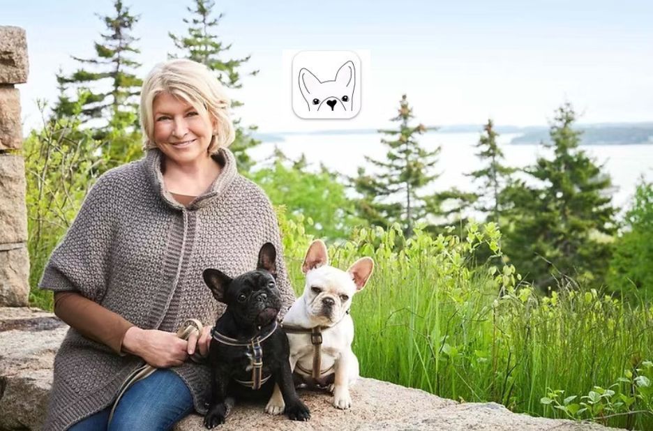 DWKC Papers Checklist: What to Prepare Before Submitting Your French Bulldog DWKC Papers Checklist: What to Prepare Before Submitting Your French Bulldog