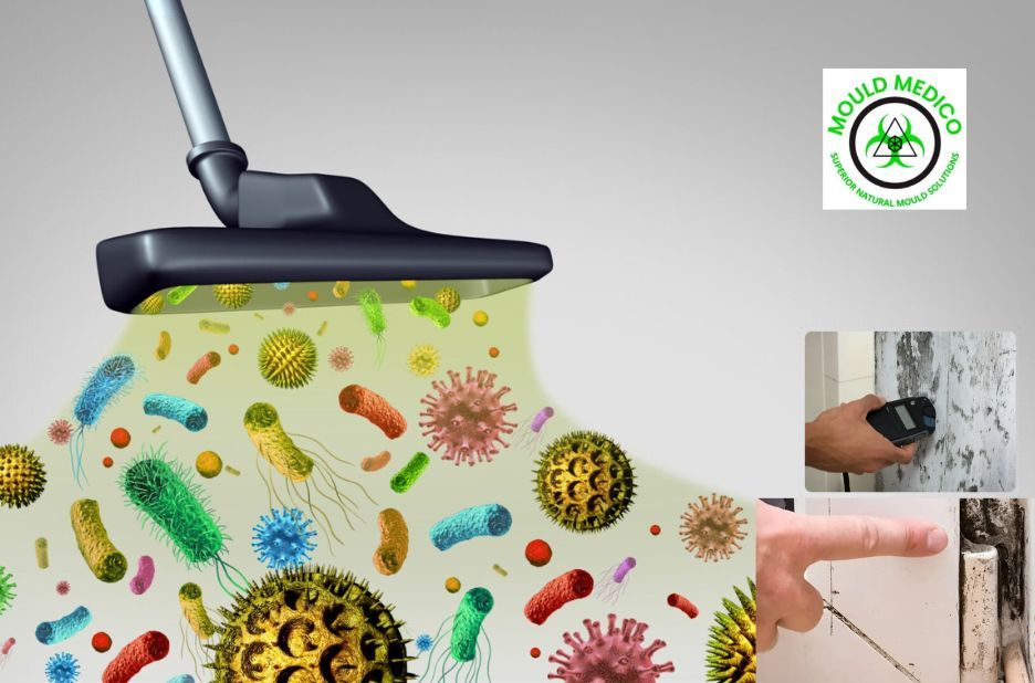 Residential Mould Removal Services Maleny for Clean, Trusted Home Recovery Residential Mould Removal Services Maleny for Clean, Trusted Home Recovery