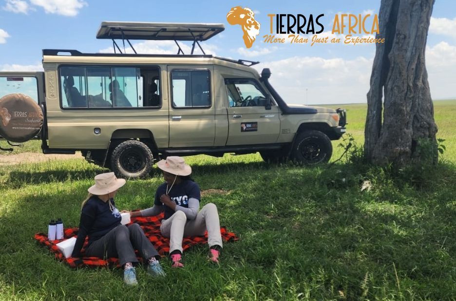 East Africa Safari Tours Buyer Intent Guide for Unforgettable Wildlife and Culture East Africa Safari Tours Buyer Intent Guide for Unforgettable Wildlife and Culture
