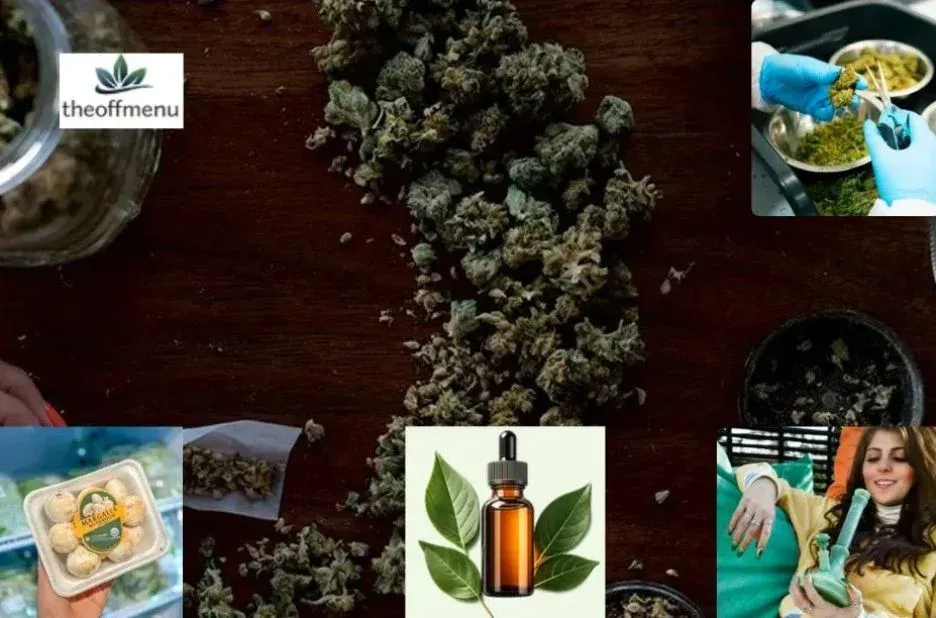 Buy Weed Online Ontario: Trusted Delivery Options with Theoffmenu.co Buy Weed Online Ontario: Trusted Delivery Options with Theoffmenu.co
