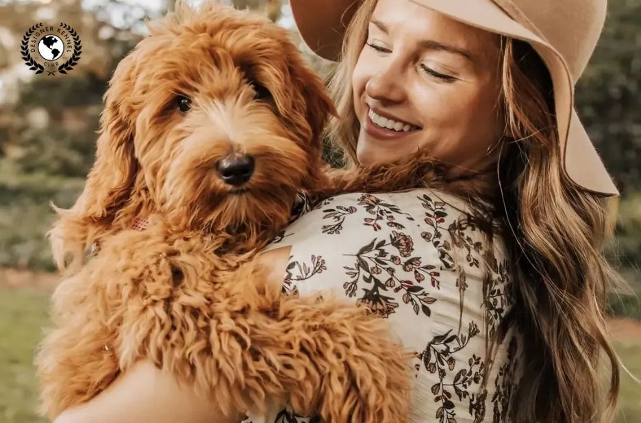 How to Get Papers for a Dog Without Papers: Registration Options and Next Steps How to Get Papers for a Dog Without Papers: Registration Options and Next Steps