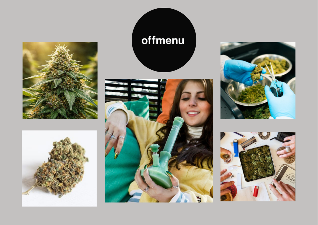 Find Local CBD Product Stores in Canada with Offmenu