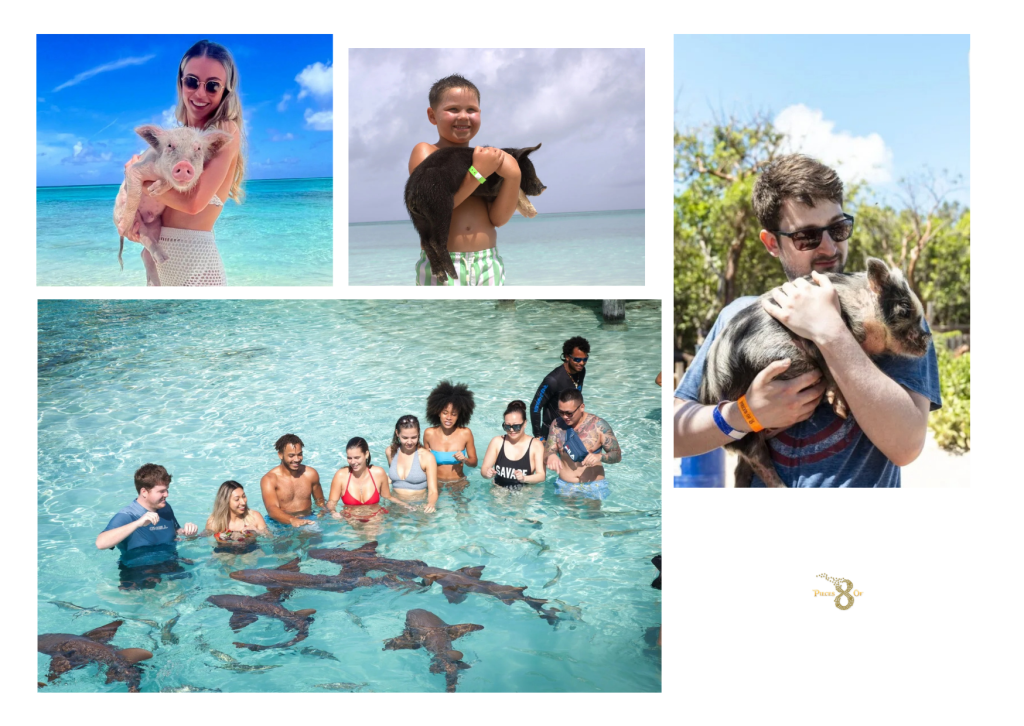 Harbour Island Excursions by Piecesof8tours.com: Benefits for Every Group Charter