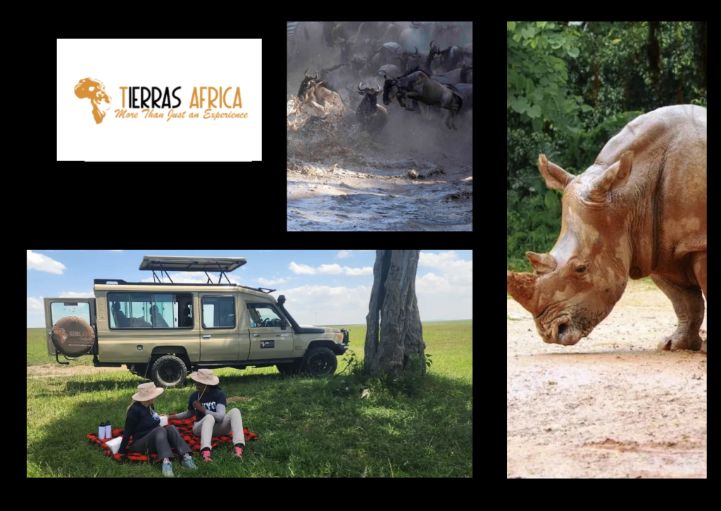 Night Game Drive Service Guide at Ol Pejeta Kenya Night Game Drive Service Guide at Ol Pejeta Kenya