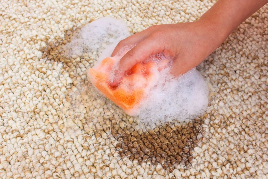 How to Use a Shampoo and Conditioner Bar Effectively