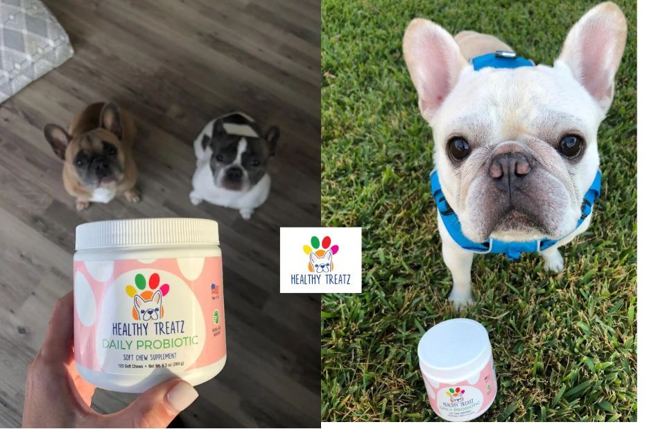 Expert-Backed Joint Supplement for French Bulldogs Expert-Backed Joint Supplement for French Bulldogs