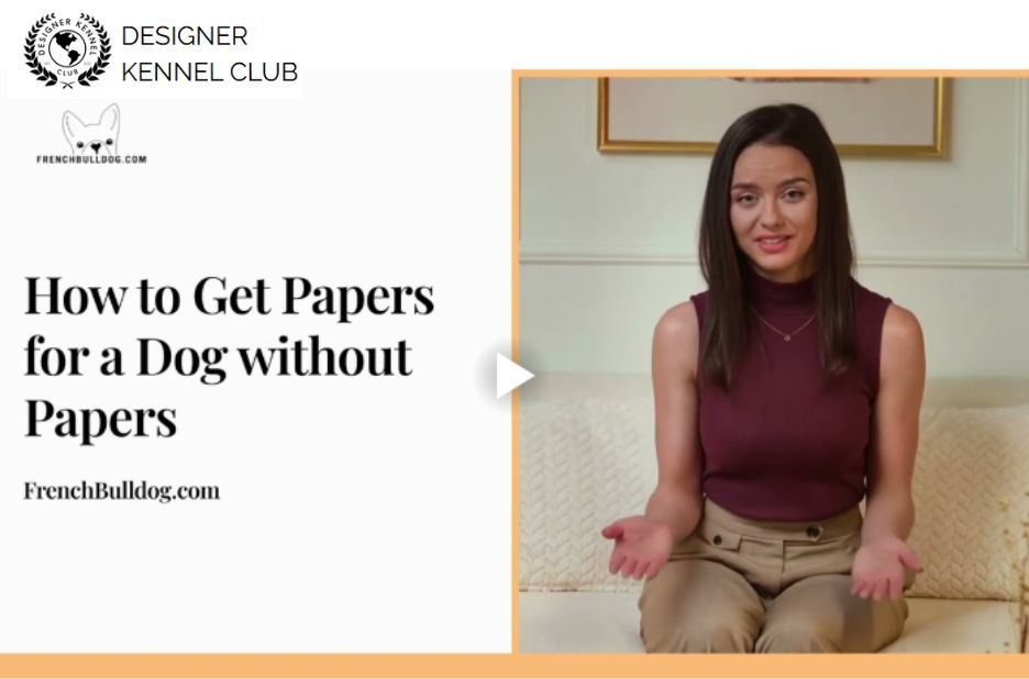 Legit Options to Document Your Dog Without Registration Legit Options to Document Your Dog Without Registration